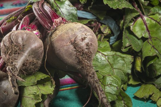 Closeup shot of fresh organic beets