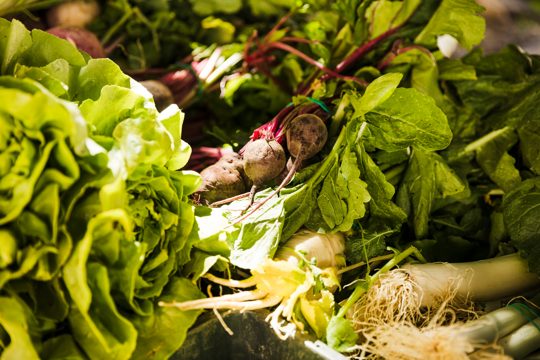 Full frame of various fresh leafy vegetable for sale