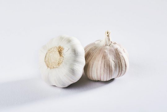 Garlic isolated on a white. delicious seasoning