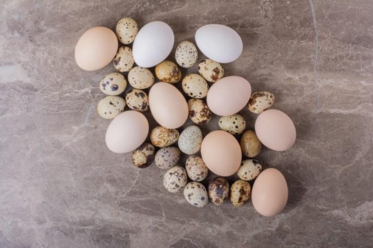 Quail and chicken eggs isolated on marble table.