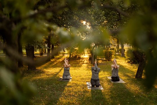 Full shot women meditating in nature